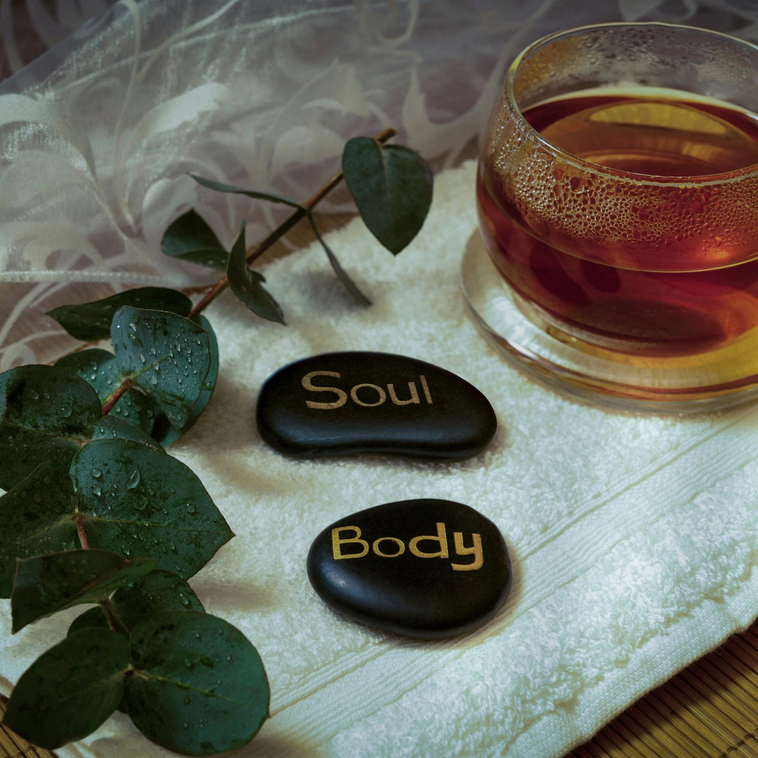 Self-Care & Wellness